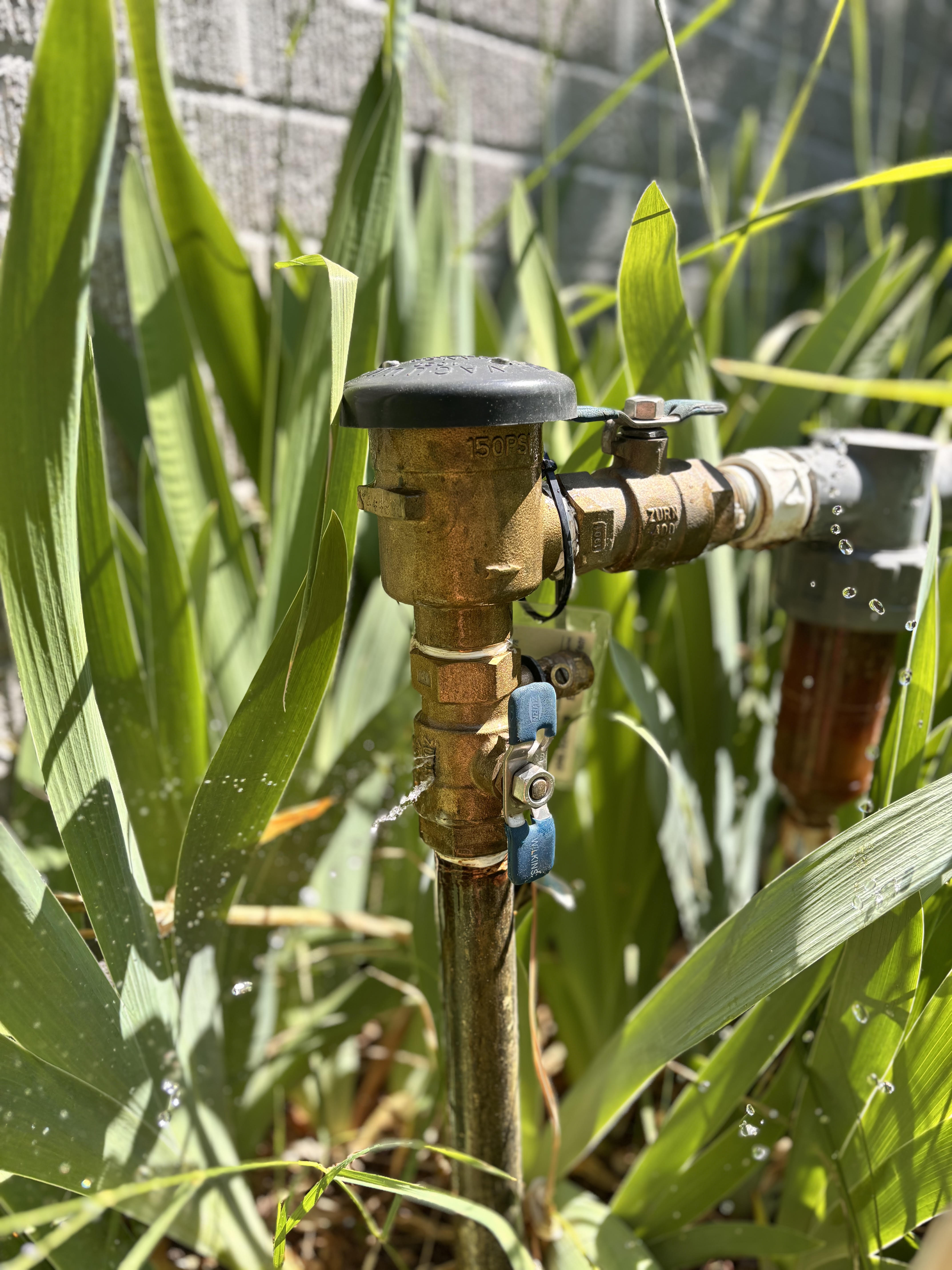 Backflow valve leak repair Boise Idaho