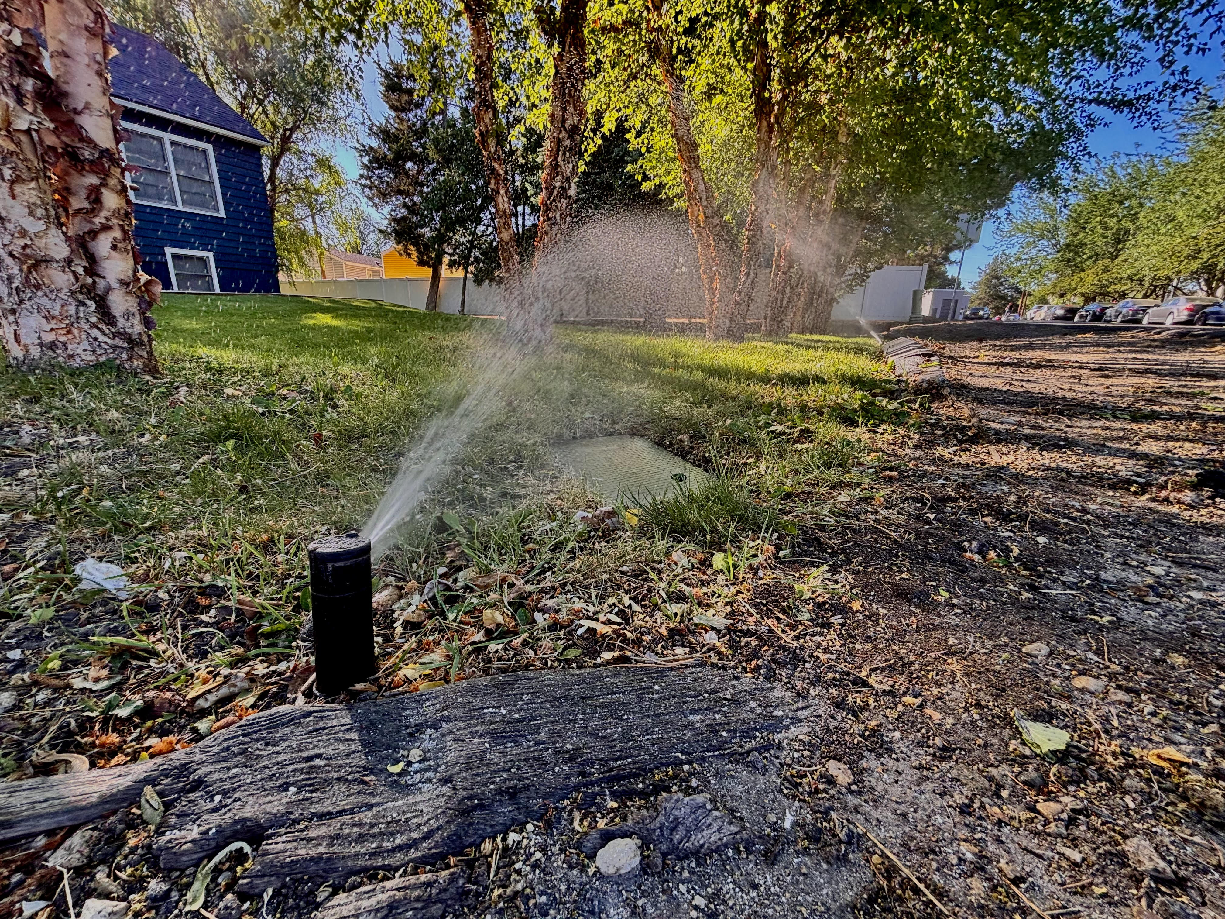 Sprinkler head tune-up and adjustment in Meridian, Idaho