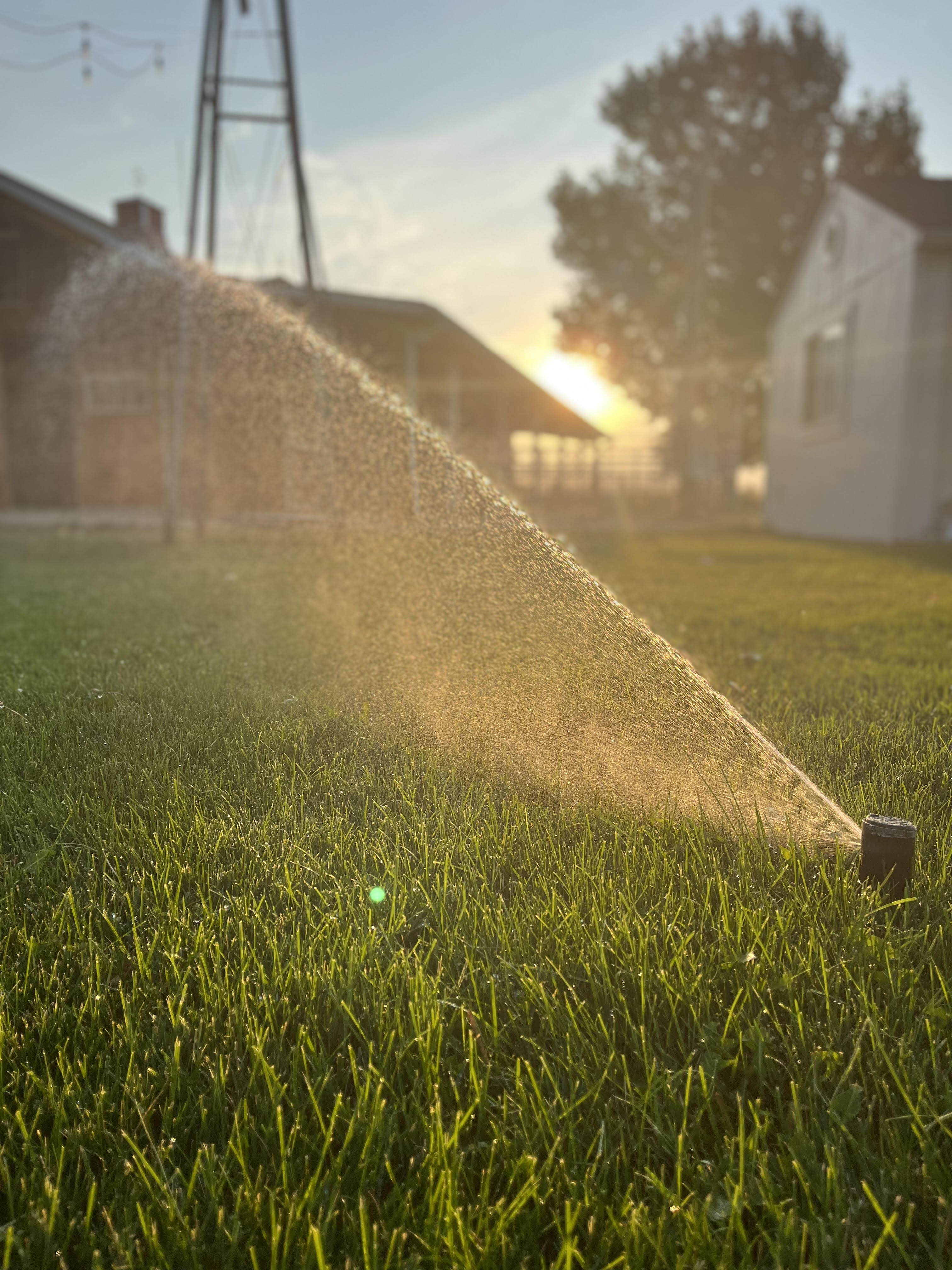 Sprinkler spring start up Nampa